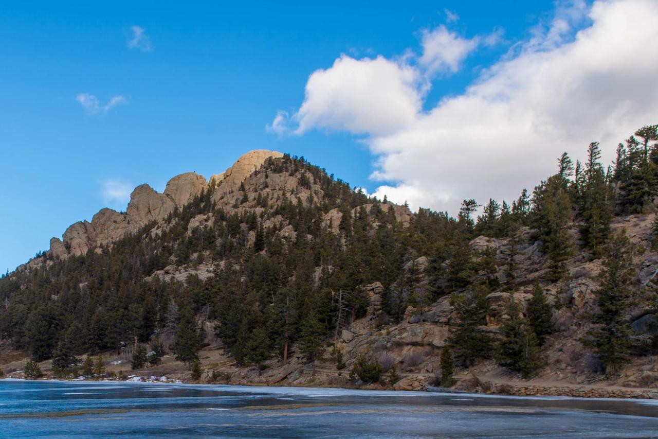 Twin Pines Cabin استيس بارك المظهر الخارجي الصورة